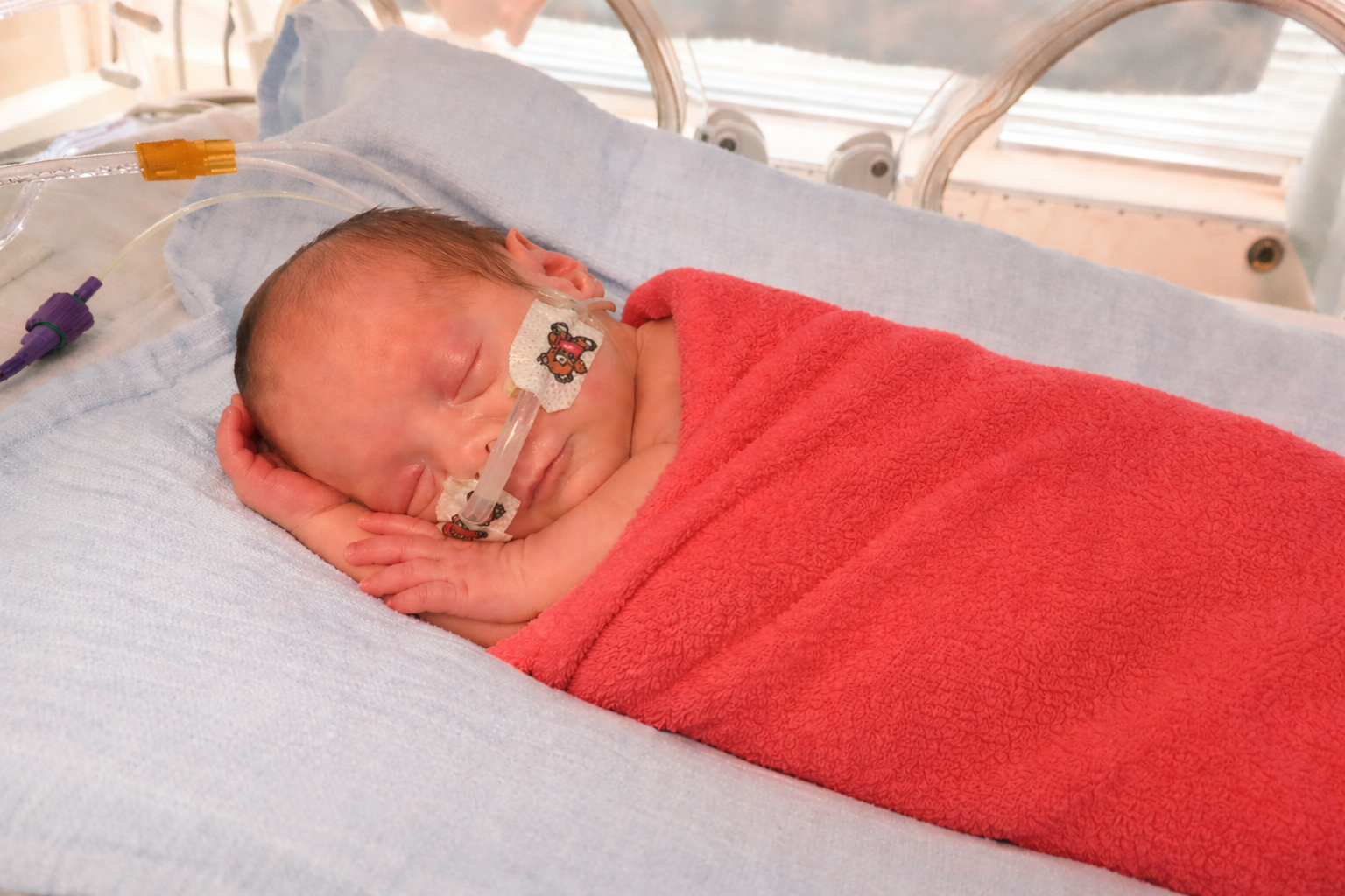 A newborn baby resting peacefully in neonatal care wrapped in a coral blanket.
